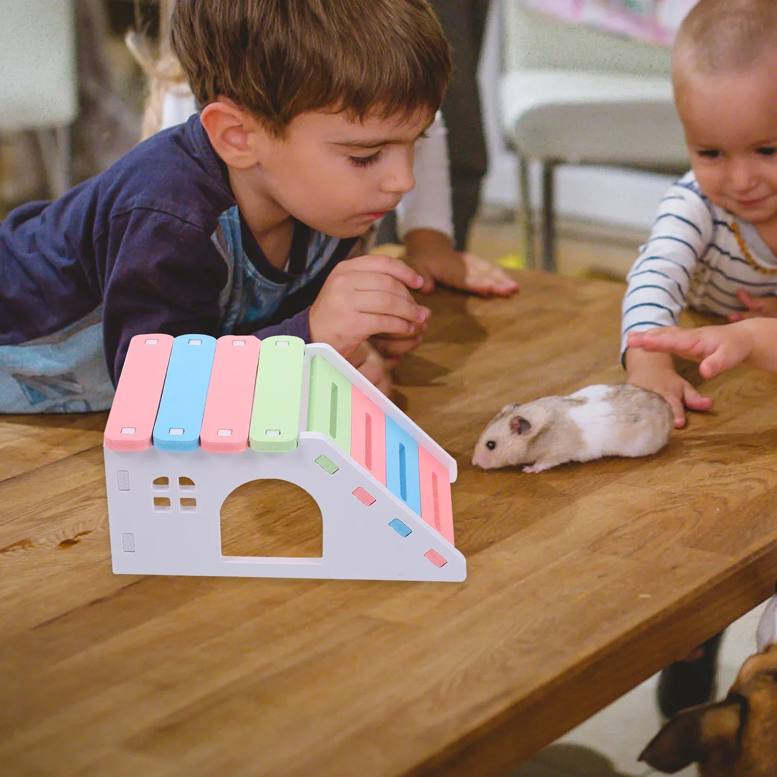 Casa gabbia per criceti con scaletta Parco giochi Gabbia in PVC Abitudine gerbilla Nascondiglio per piccoli animali per piattaforma