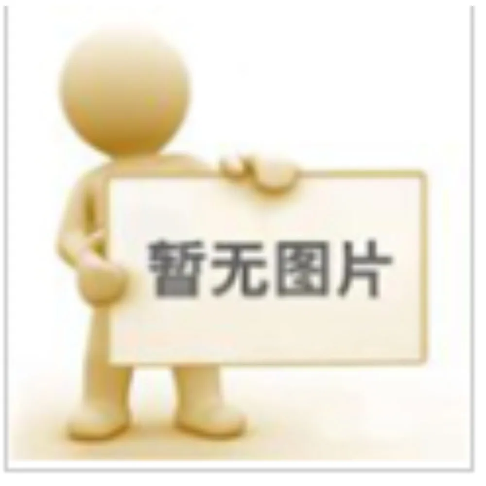 

Hair Brush Tangled Curly Hair Comb Scalp Massage Brushes Barber Styling Tools