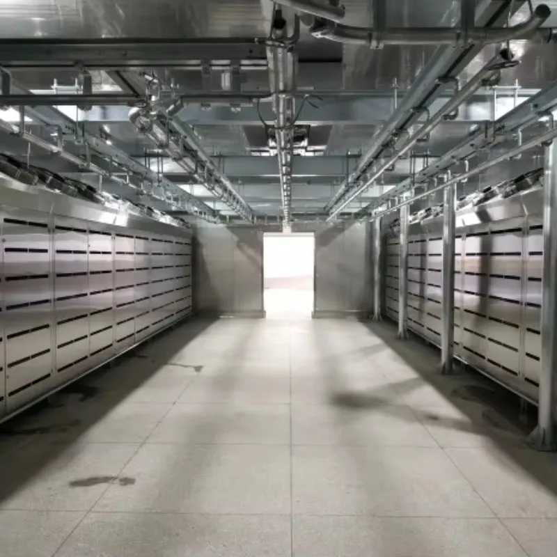 FL Automatic Temperature Control (Low Temperature & High Humidity) Thawing Equipment for Meat Processing Customized 2026 New