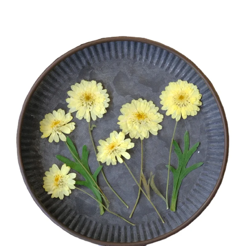 9-10cm/12PCS,nature Wax yellow chrysanthemum branches,pressed flower DIY drip glue bookmark coasters plant phote frame gift card