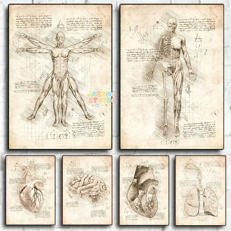 1PC  Canvas Painting Vintage Da Vinci Inspired Sketches Vitruvian Man Human Dental Anatomy Poster Wall Art Pictures Home Room