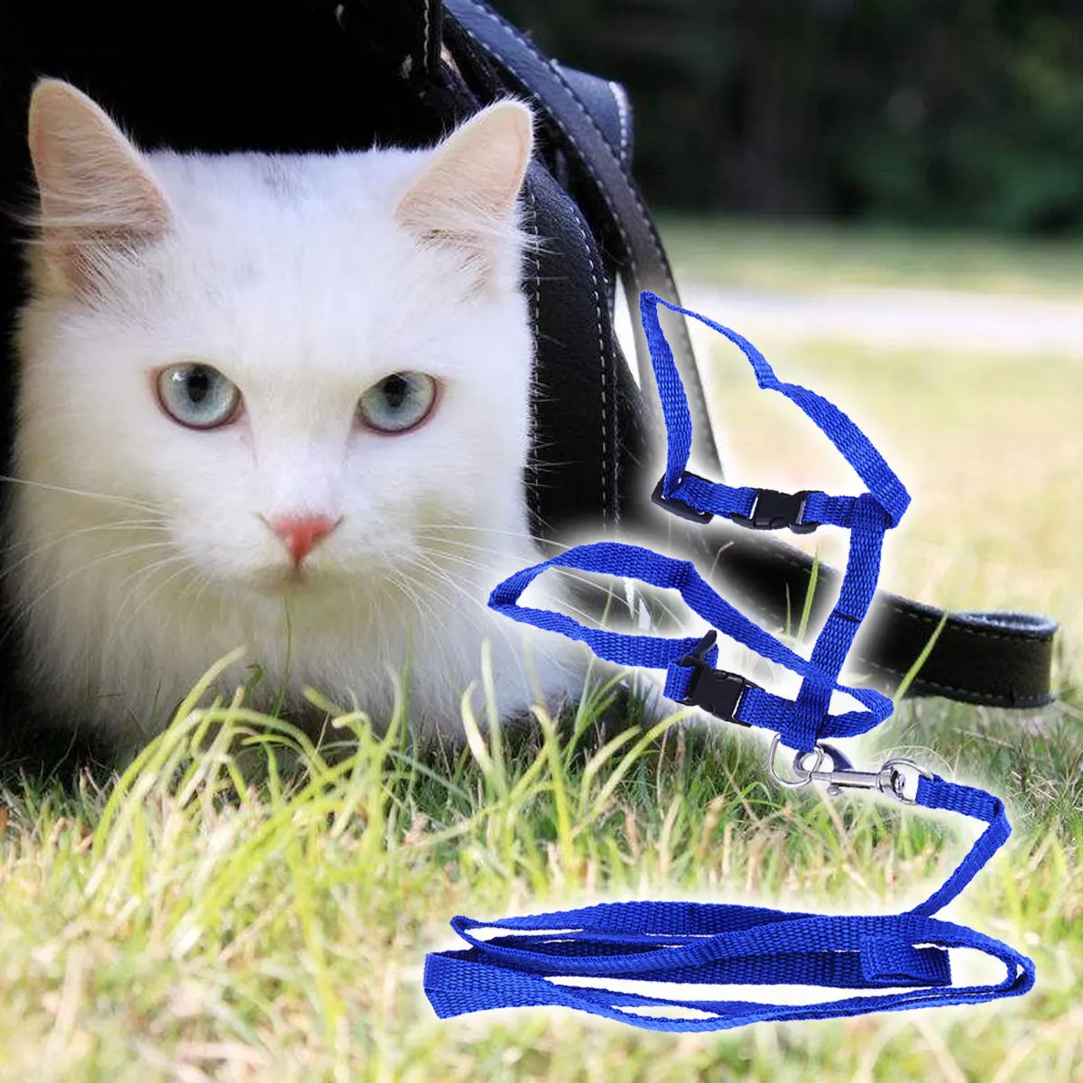 

Harness Adjustable Nylon Pet Traction Rope Collar Leash Kitten Supplies Safe Walking Outdoor Exploration Pet