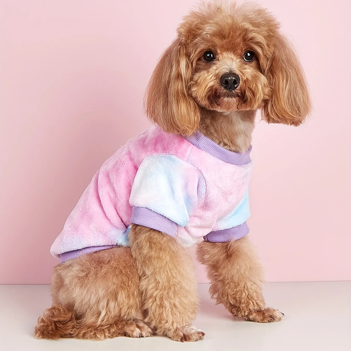 Pet clothes Dog and cat sweatshirt Comfortable and warm Lining plus velvet Pink, purple, blue gradient fashion