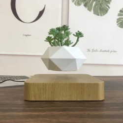 Rotating Levitating Plant Pot, Bonsai Potted, Decoração para casa, Presentes Criativos e Originais