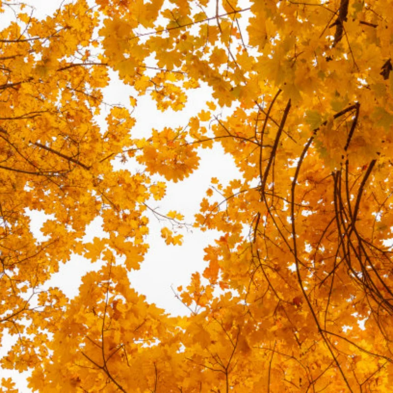 

Металлические диски с бедлоком 2.2'' и шины для краулеров (4 шт.) для модернизации радиоуправляемых краулеров 1/8 1/10, модели KM5 YK4082 YK4083 SCX10 RBX10 RR10 TRX