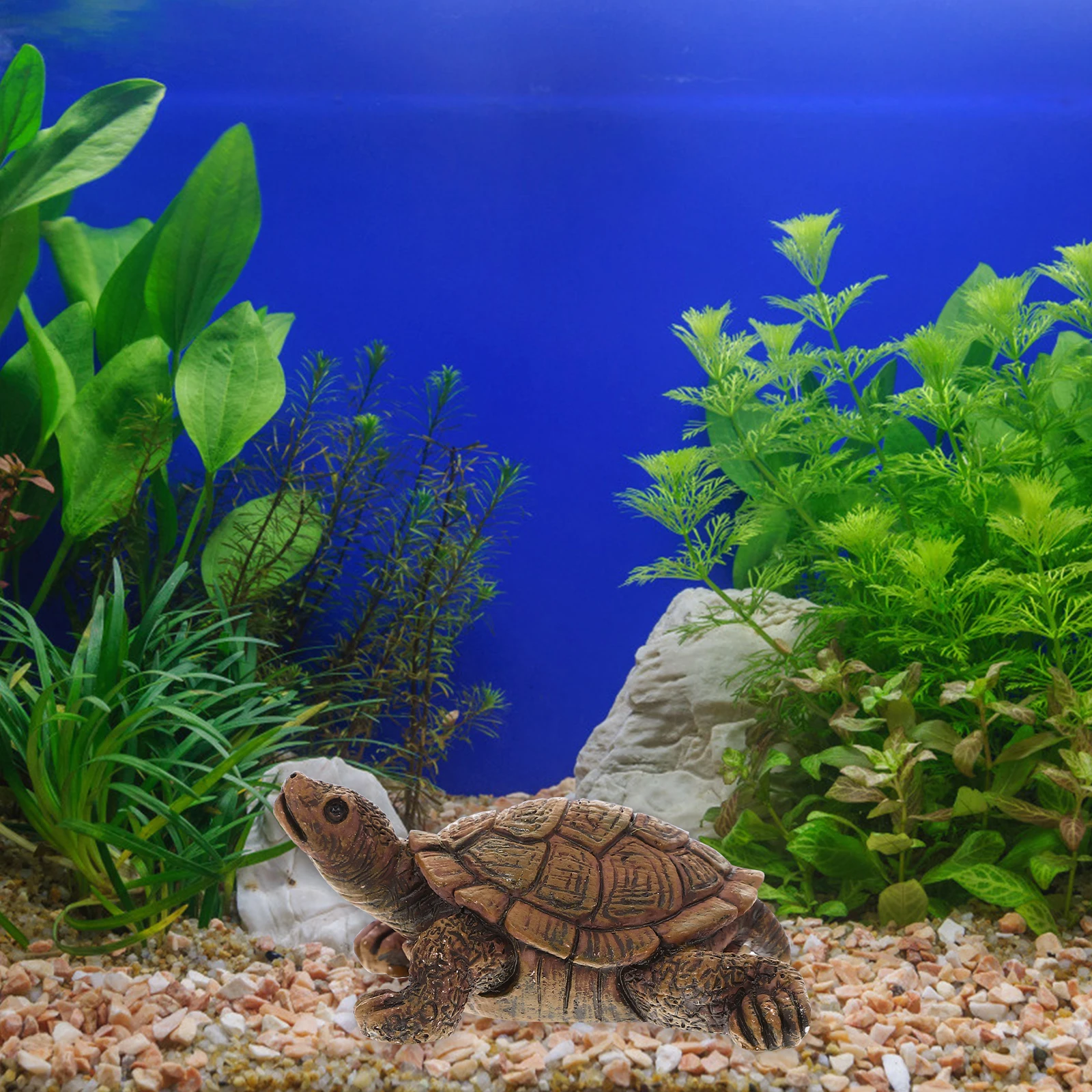 

Realistic Turtle Sculpture Nice Looking Color Happy Mood Better Visual Enjoyment Detailed Craftsmanship Resin Made