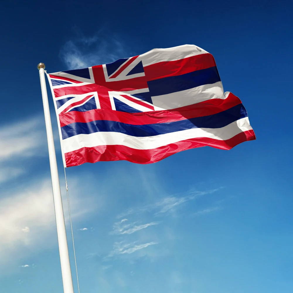 3x5 Ft Hawaii Flag Vivid Color and Fade proof a state of the United States Flags Polyester with Brass Grommets 3 X 5 Ft