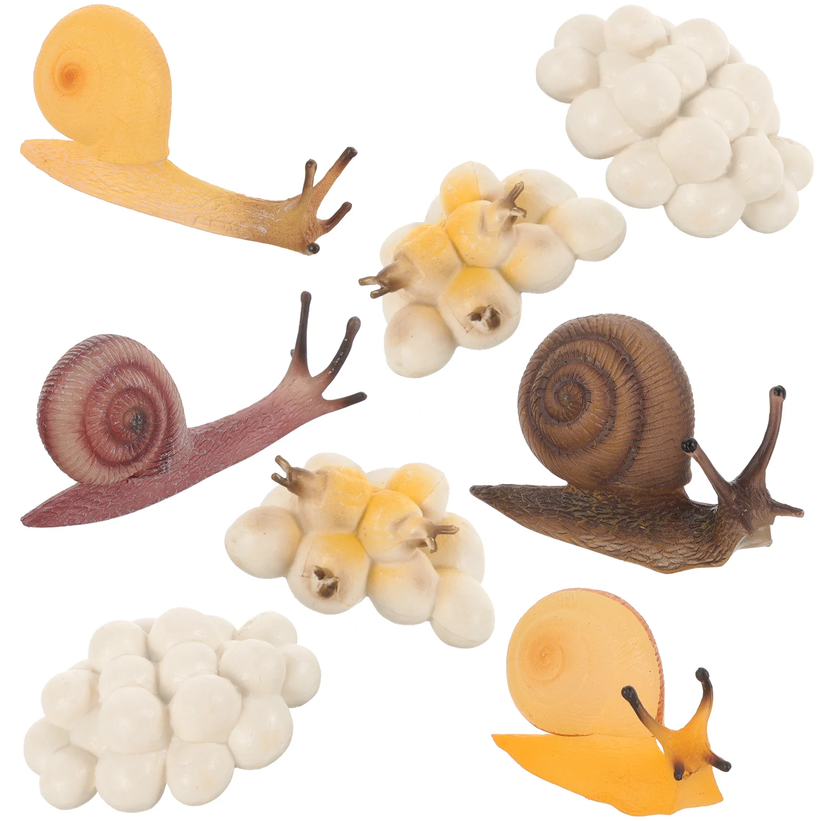 

2 Sets Animal Model Interactive Snail Toys for Toddlers Miniature Cognitive Models Growth Cycle Plastic Growing