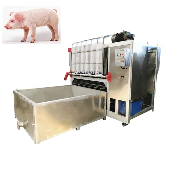 Widely Popular Slaughter House Pig De Hairing Small Slaughterhouse Equipment