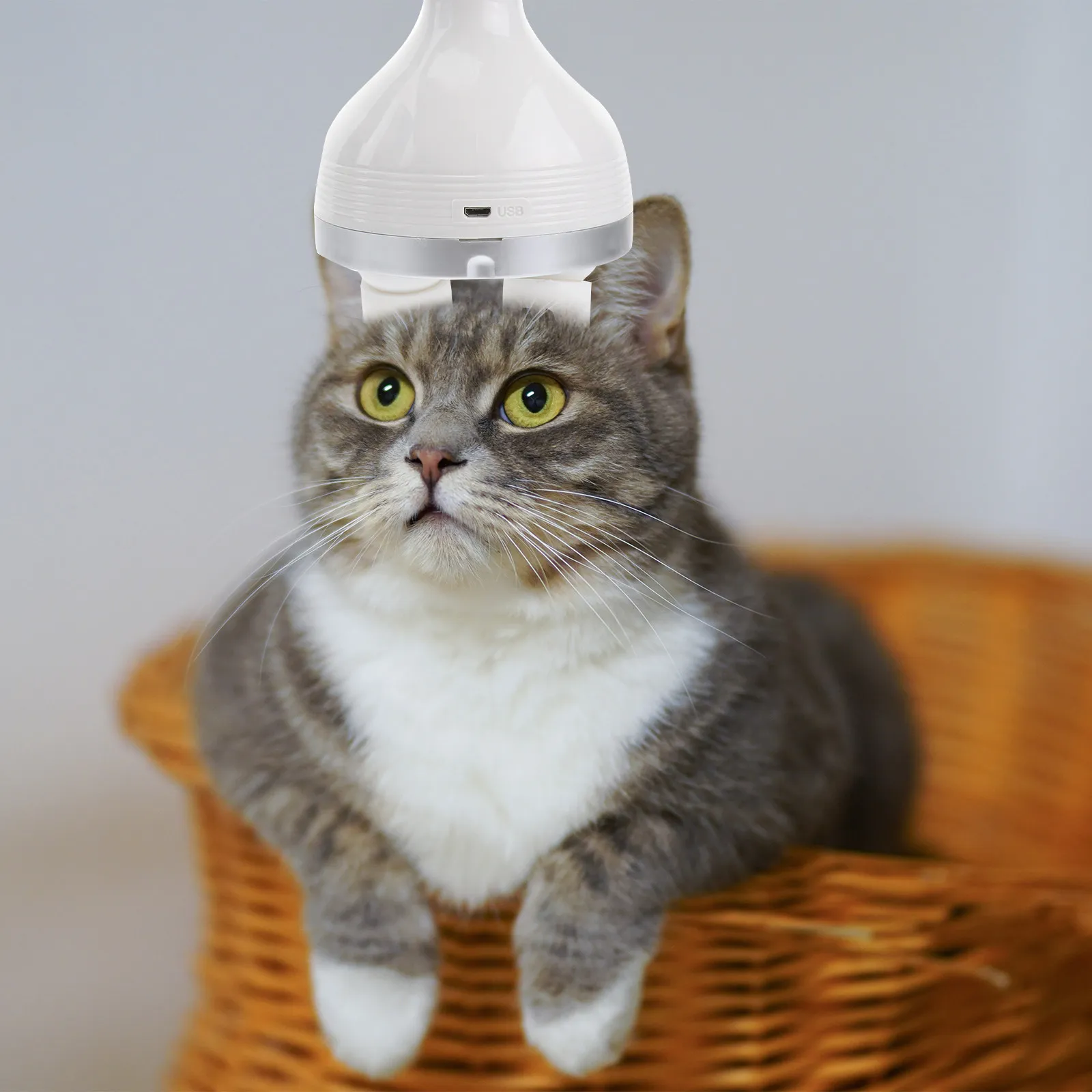 Electric Pet Massager with USB Charging, 3D Deep-Kneading & Auto Rotation for Cats and Dogs