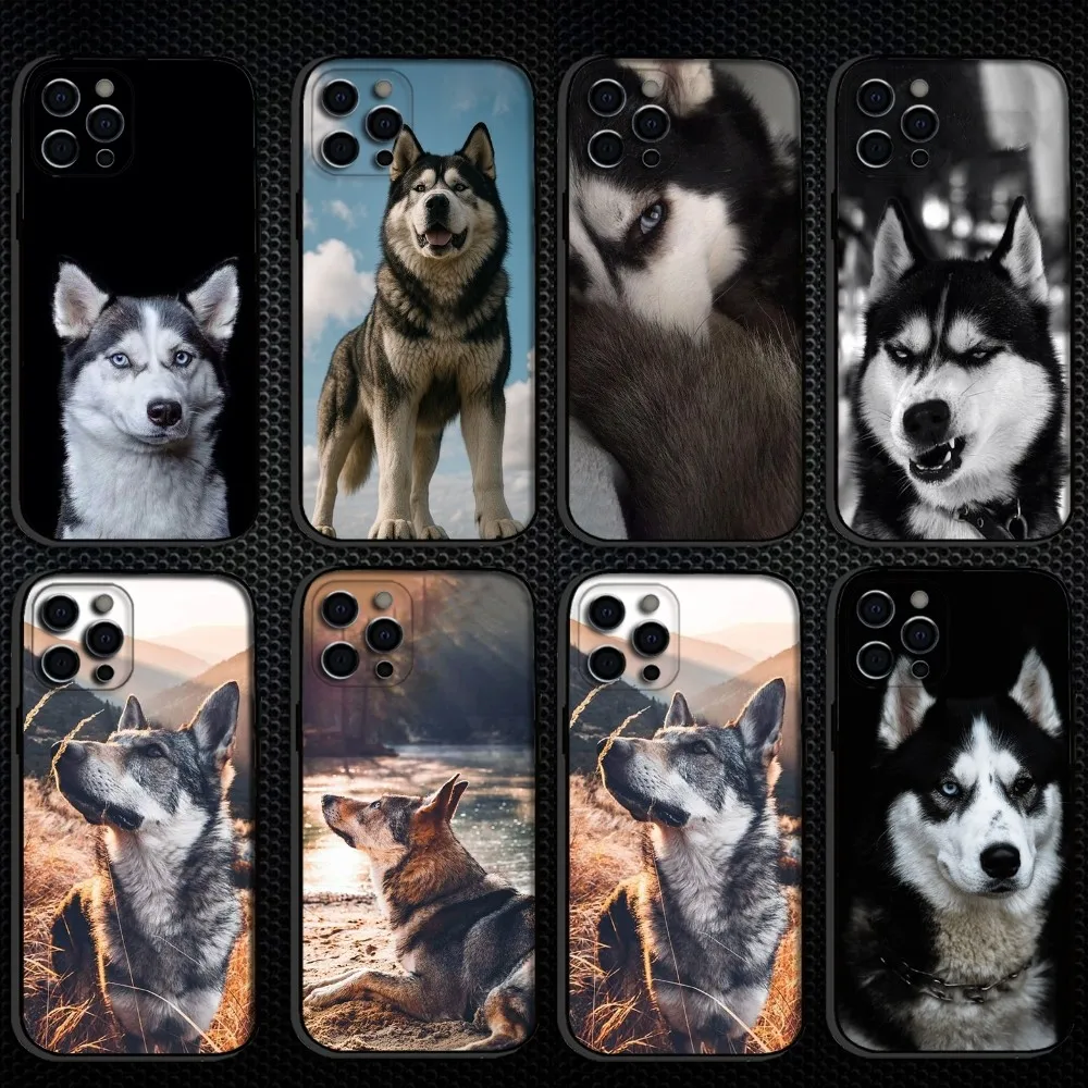 

Cute Siberian Husky Dog Phone Case For iPhone 16,15,14,13,12,11 Plus,Pro Max, Soft Silicone Black Cover