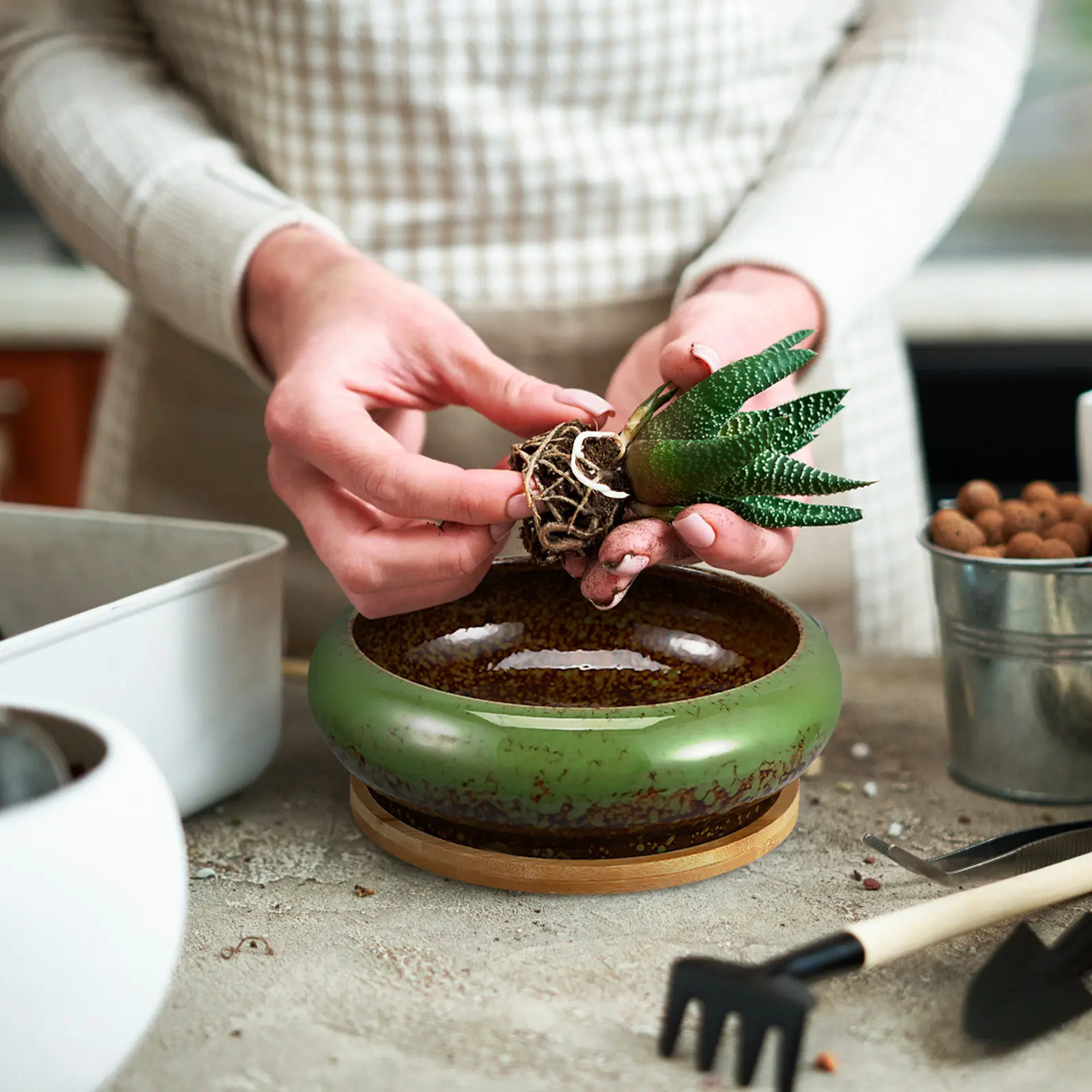 1Set Ceramic Bonsai Planter Bowl Money Plant Pot Shallow Indoor Plant Container Desk Cactus Planter Sleep Bowl Lotus