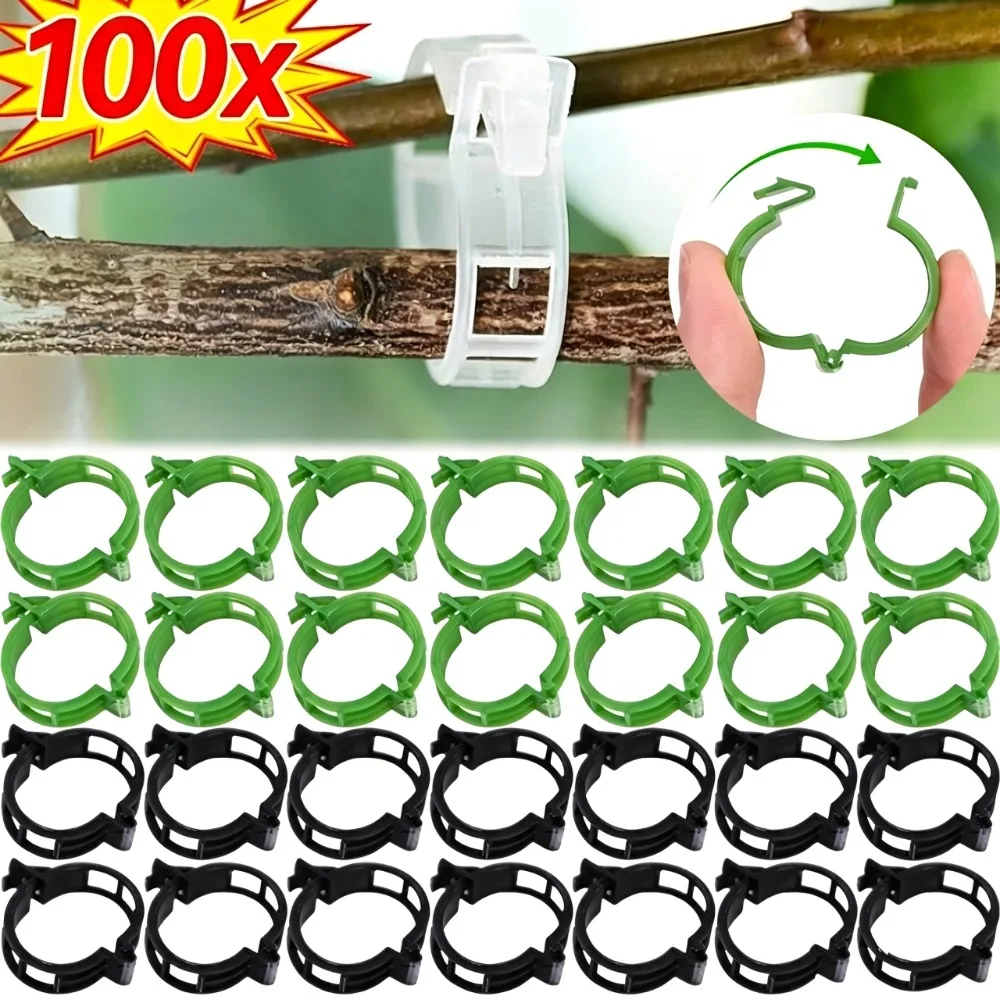 100/10PCS Plant Support Clips Plastic Buckle Reusable Protection Grafting Fixing Tool for Plant Vegetable Tomato Garden Supplies