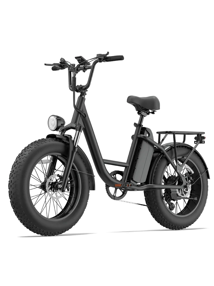 AliExpress NONE URLIFE E20Pro Adult 1500W Peak Power Motor 48V15.6Ah Battery Electric Bicycle E-bike 20*4Inch All Terrain Fat Tire Electric Bike