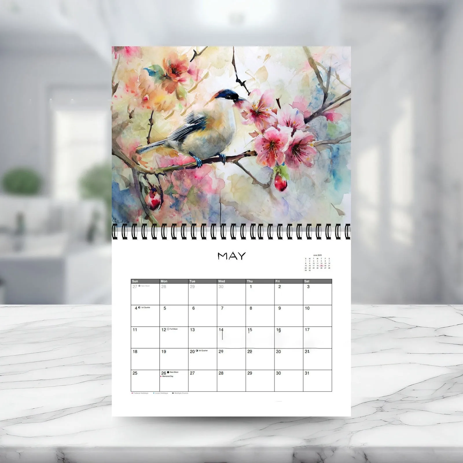 Calendars 2025 Seasons Monthly Wall Calendar, Bird Cute Calendar Funny Calendar Hanging, New Year's Wall Decoration 11x8.46 inch