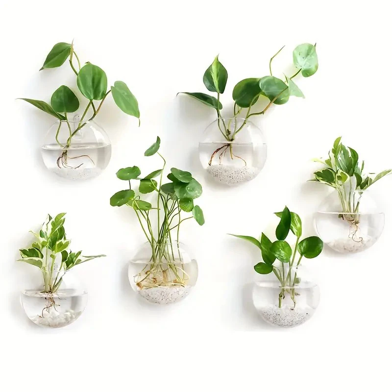 Wall Hanging Glass Plant Terrarium Container Propagation Station Wall-Mounted Flower Vases Air Plant Terrarium Home Office Decor