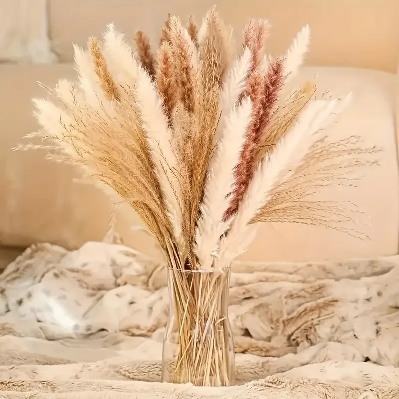 Imagen 4: 99 Piezas de Hierba de Pampas Esponjosa, Flores Secas, Colas de Conejo, Ramo Floral, Decoración para el Hogar y Jardín, Cañas de Flores Secas, Decoración Pomposa para Bodas