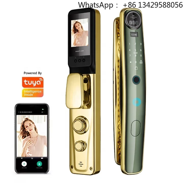 Classic European Retro Vintage Single Latch Smart Fingerprint & Password Digital Zinc Alloy Door Rim Face Type