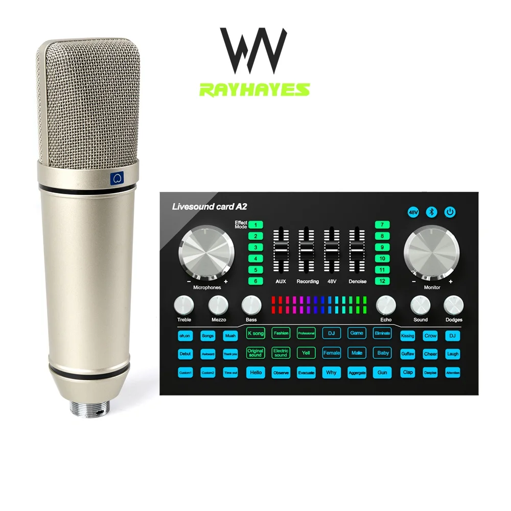 

RAYHAYES A2 Live Sound Card With U87 Condenser Microphone Set For Live Broadcast And Recording Sing