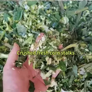 لماكينة تقطيع الخشب 150 مم ماكينة تقطيع شجرة البنزين لآلة طاحونة حديقة ماكينة تقطيع الخشب أفضل 8 ماكينة تقطيع خشب مستعملة مبيعا للبيع - رقم 4