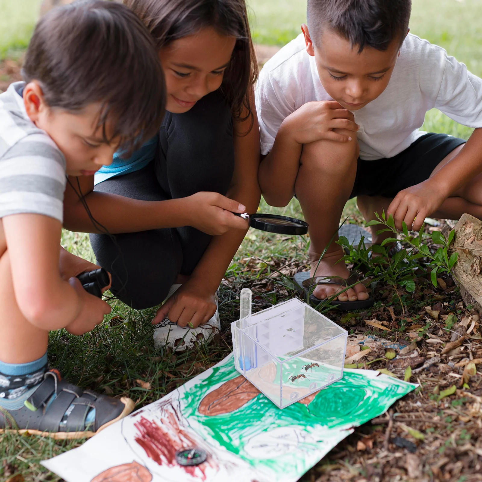 

Ants Castle Acrylic Nest Live Observation Kit Educational Stem Science Learning Project for Kids Students Adults