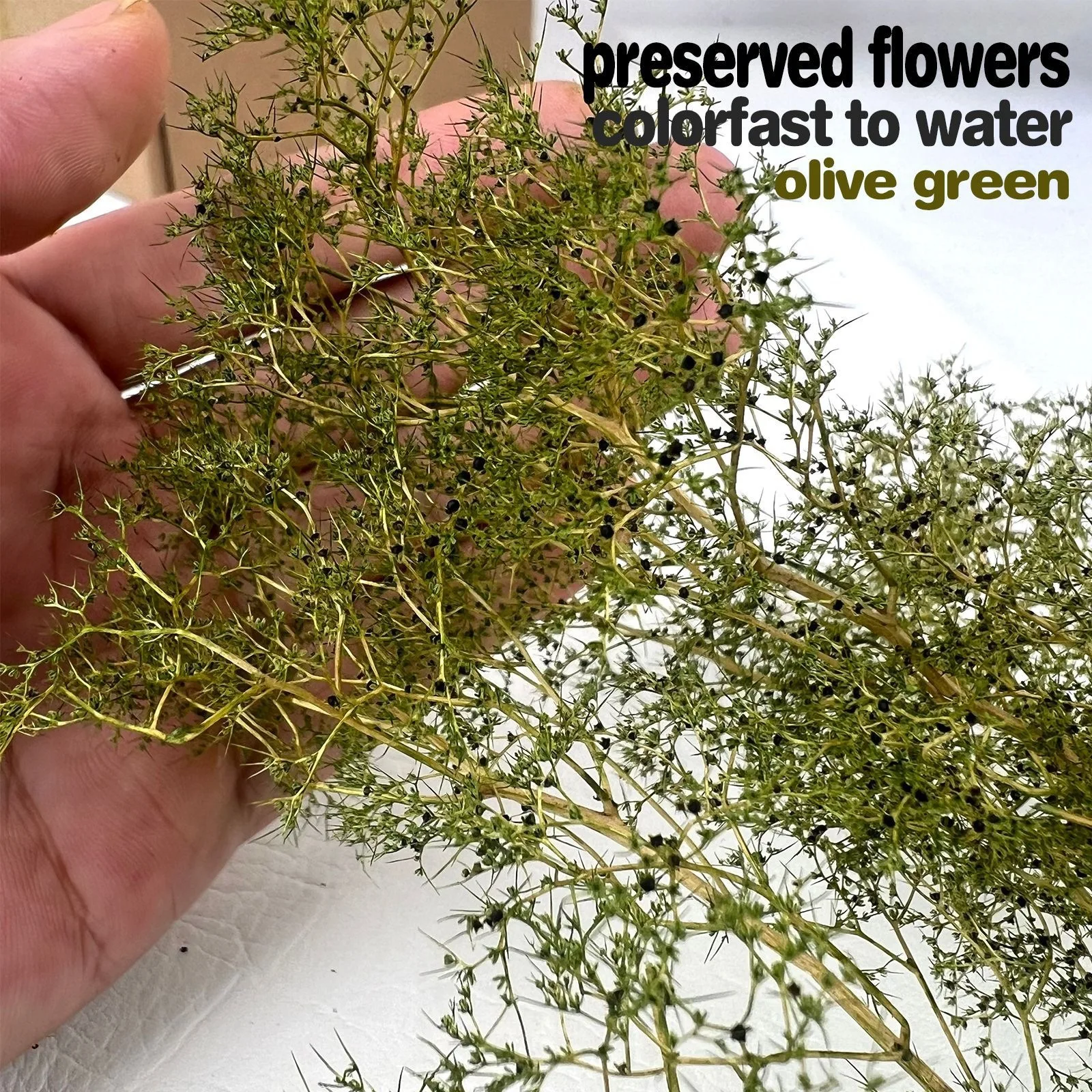 Simulation Dry Thorned Grass/Tree Model Kits DIY Micro Scene Wild Desert Terrain Model Making Materials Diorama Accessories