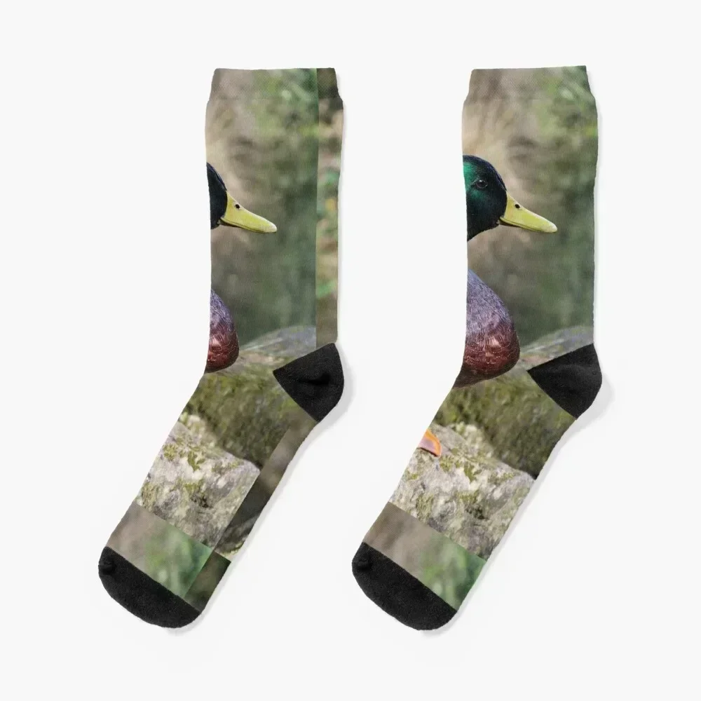 

mallard duck Socks colored Christmas warm winter Mens Socks Women's
