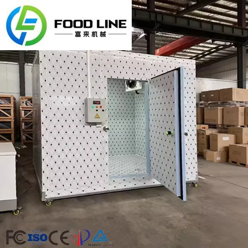 Customized Mobile Cold Storage Portable Insulated Walk in Freezer Cold Room Cold Storage for Meat/ Fish/ Vegetable