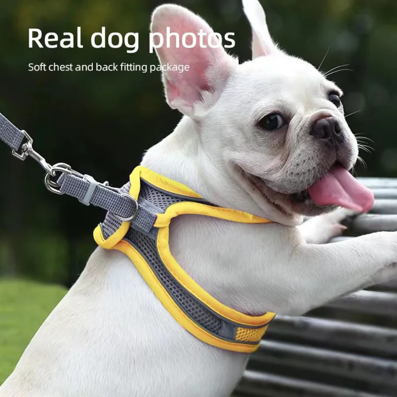 حزام سترة عاكسة متين وقابل للتعديل للكلاب والمتوسطة والكبيرة (S) - مثالي للمشي والتدريب اليومي