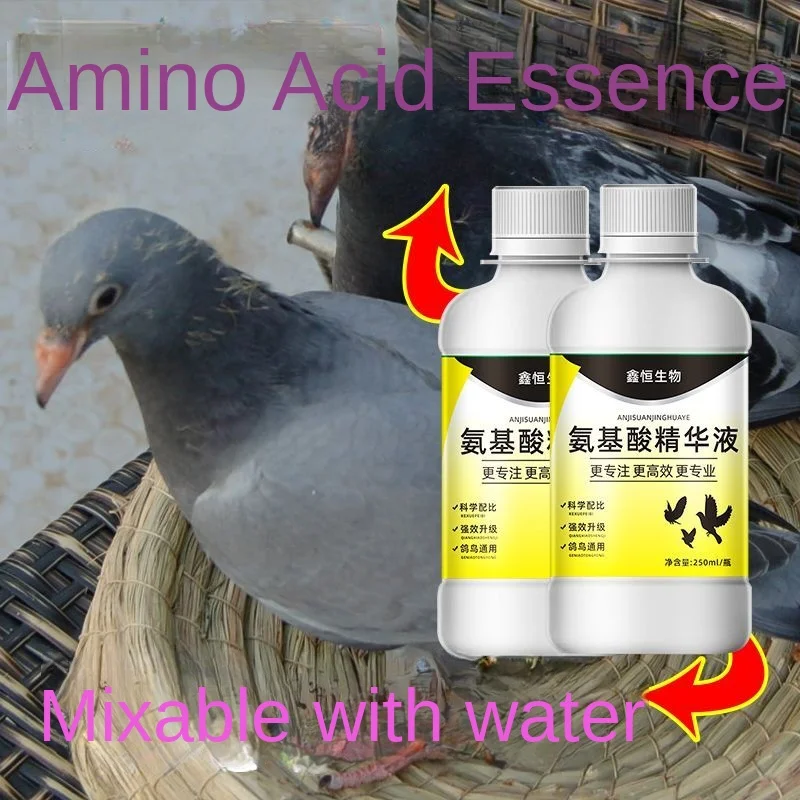 Amino acid essence pigeon high flying liquid health care recovery can promote growth and enhance immunity