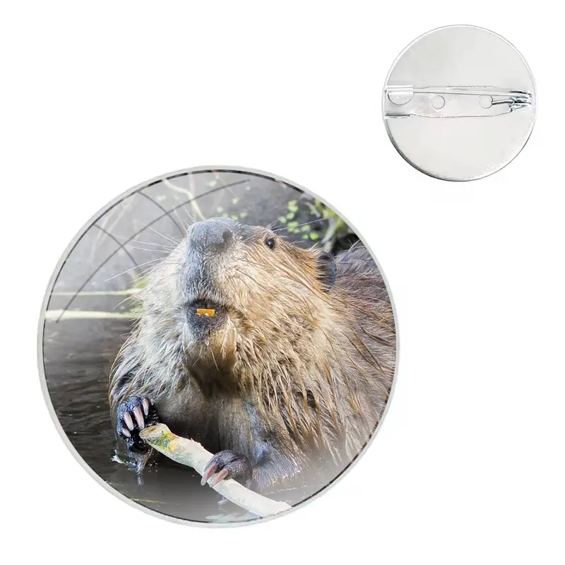 Beaver Zoo around The world Pattern Glass Dome Brooches Badge Pins For Clothes Hat Shirt Lapel Bag