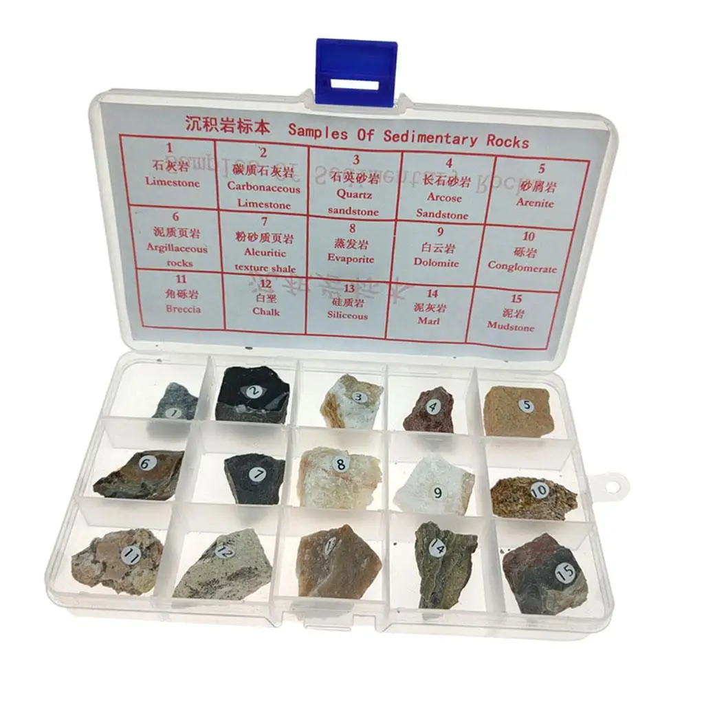 15x Sedimentary Rock Specimen Teaching Aid Supplies Rocks and Minerals Collection, Ages 8 and Up