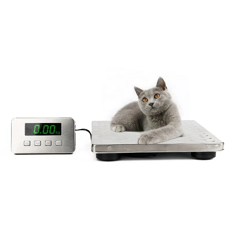 30*30cm LED Stainless Steel Rechargeable Platform Scale Floor Weight 200kg Postal Scale Electronic Weighing Balance