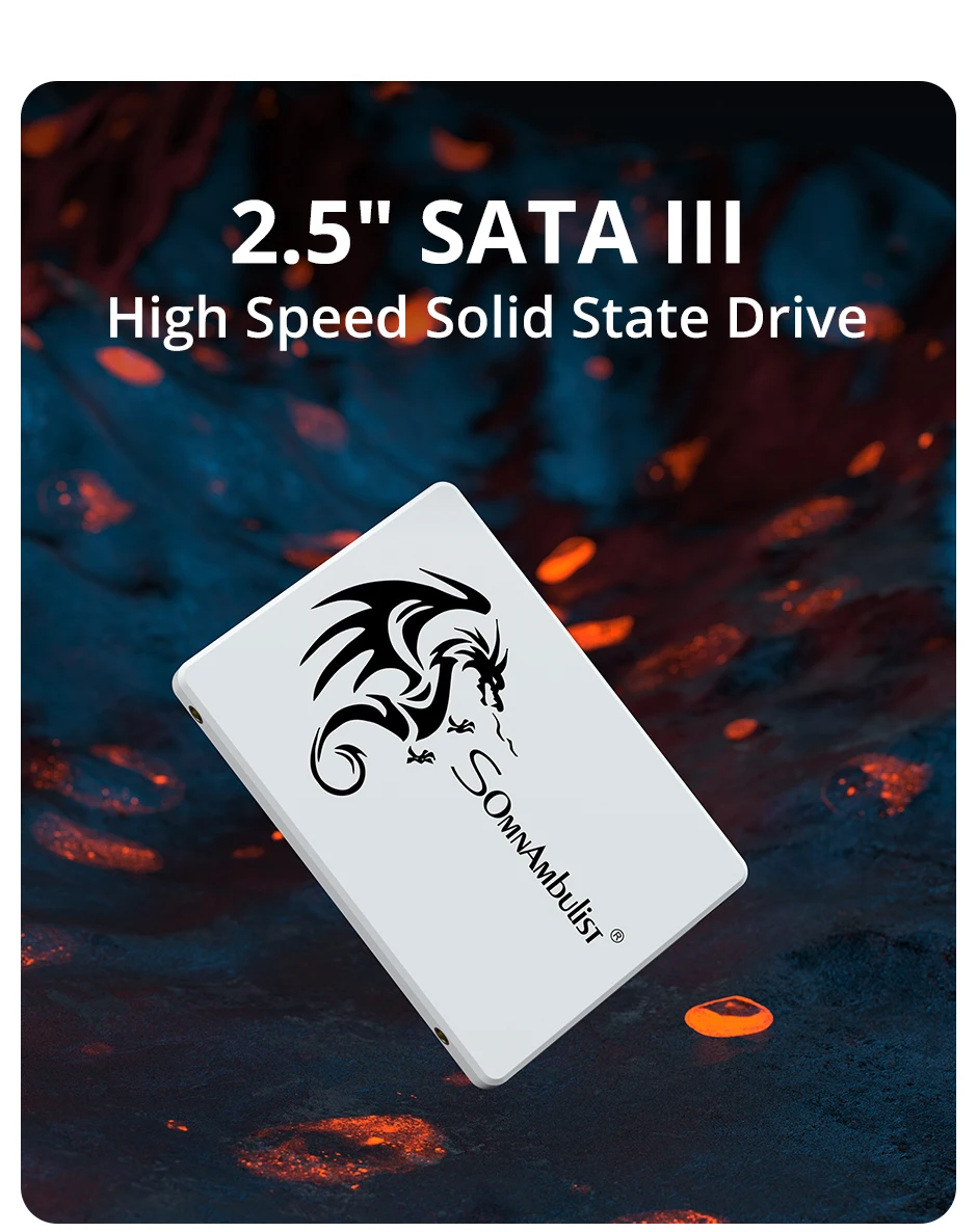 SomnAmbulist SSD 2,5 64 GB 128 GB 256 GB 512 GB für Laptop Desktop Solid State Drive Sata3 120 GB 240 GB 480 GB – Detail 1