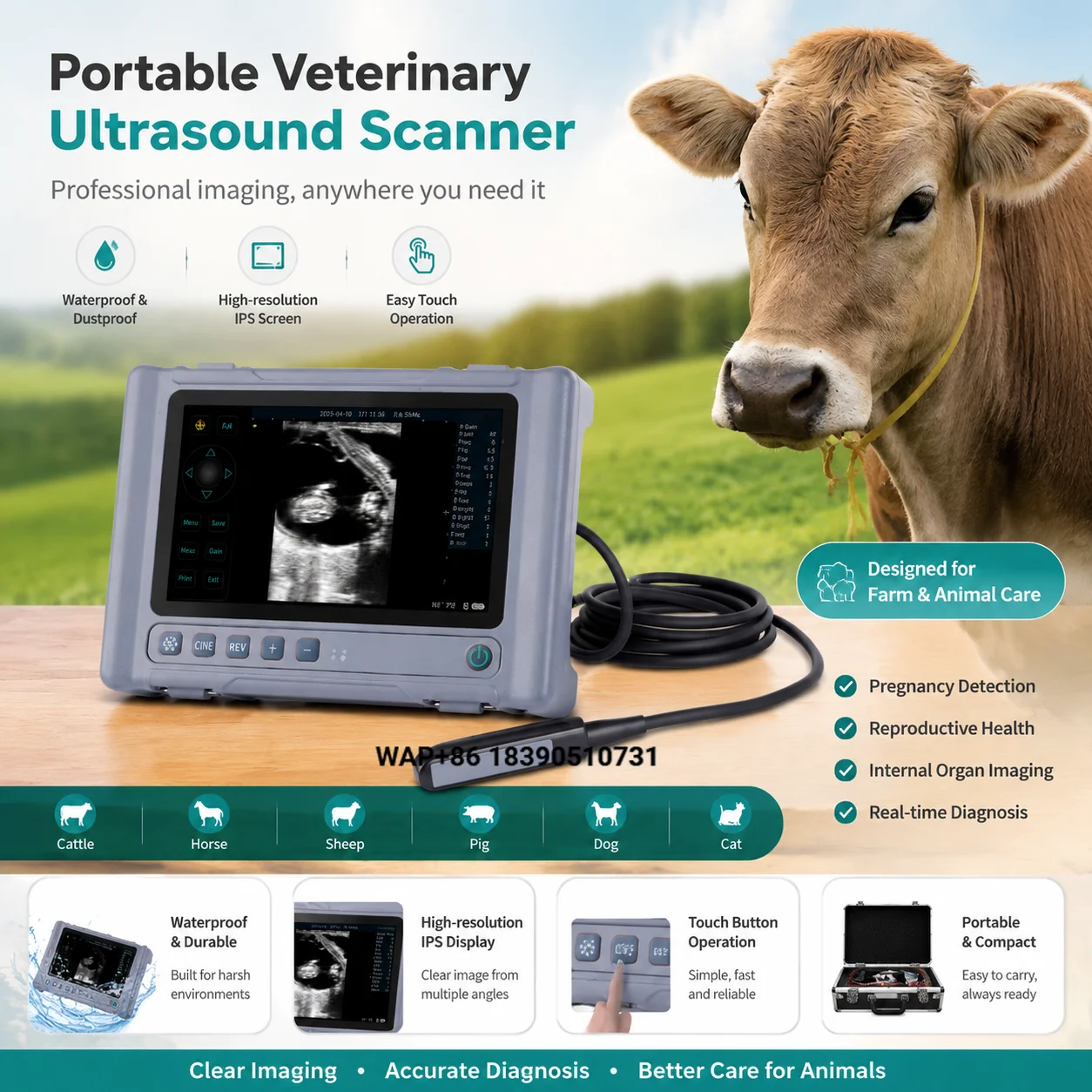 Veterinary medical supplies, portable ultrasonic diagnostic system, suitable for livestock, dogs, cats, obstetric testing