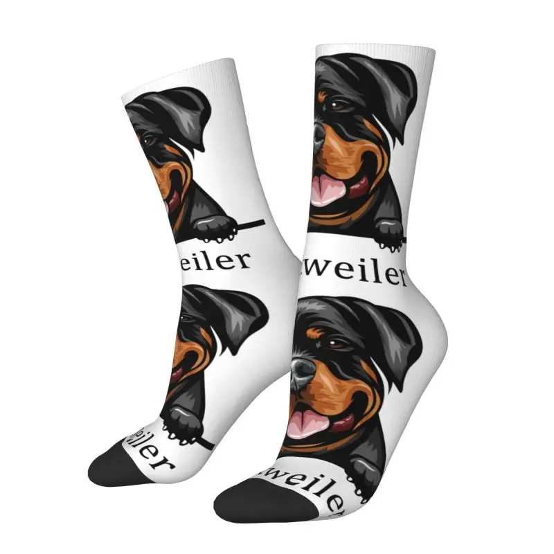 Rottweiler Dog ชุดถุงเท้าผู้ชายผู้หญิง Funny Novelty สัตว์เลี้ยงสัตว์ถุงเท้าลูกเรือ