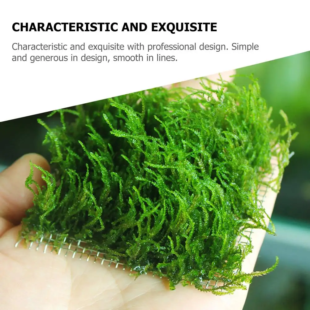 

12 Pcs Fish Tank Accessories Aquarium Mesh Bendable Wire Pad Supply Stainless Steel Sturdy Wear-resistant Moss Net
