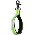 Fluorescent Green-3