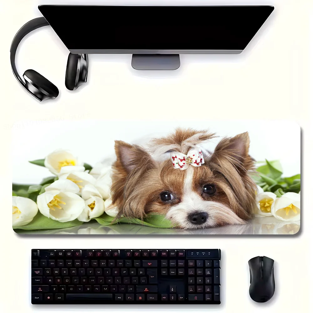 Y-Yorkshire Terrier Dog Mousepad Non-slip Suitable For Office Computers Laptops E-sports Game Desk Mats XXL Keyboard