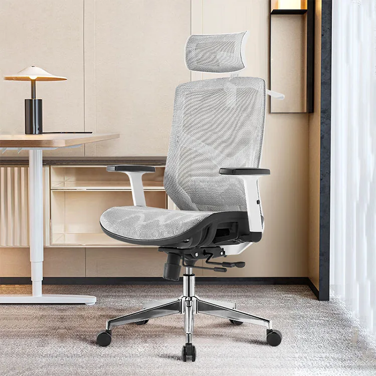 Adjustable Lumbar Support Ergonomic Mesh Office Chair With Headrest And Cloth Hanger