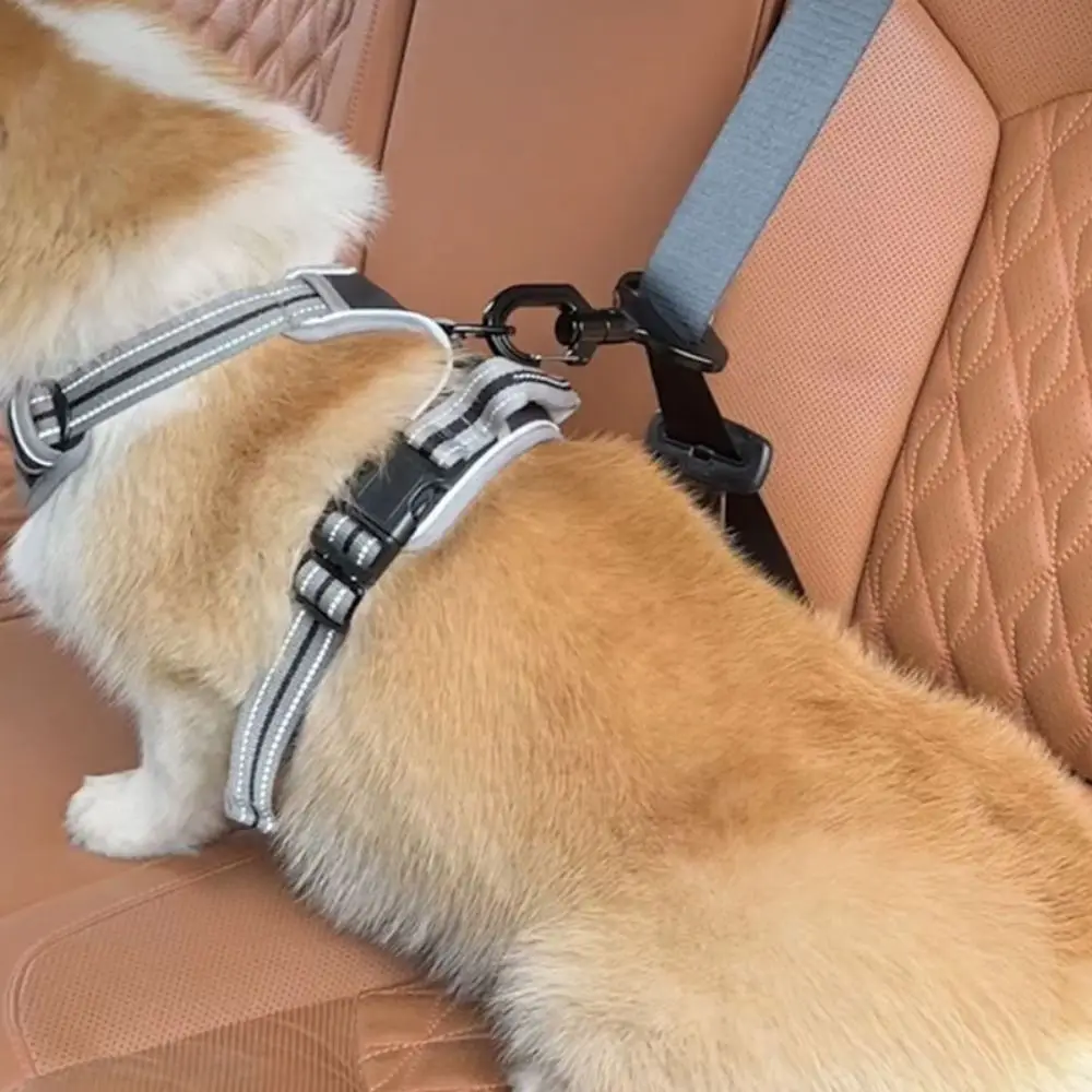 

Anti-interference Pet Safety Buckle Easy to Use Sustainable Pet Travel Car Seat Hook Durable Dogs Locking Snap Seat Belts Travel