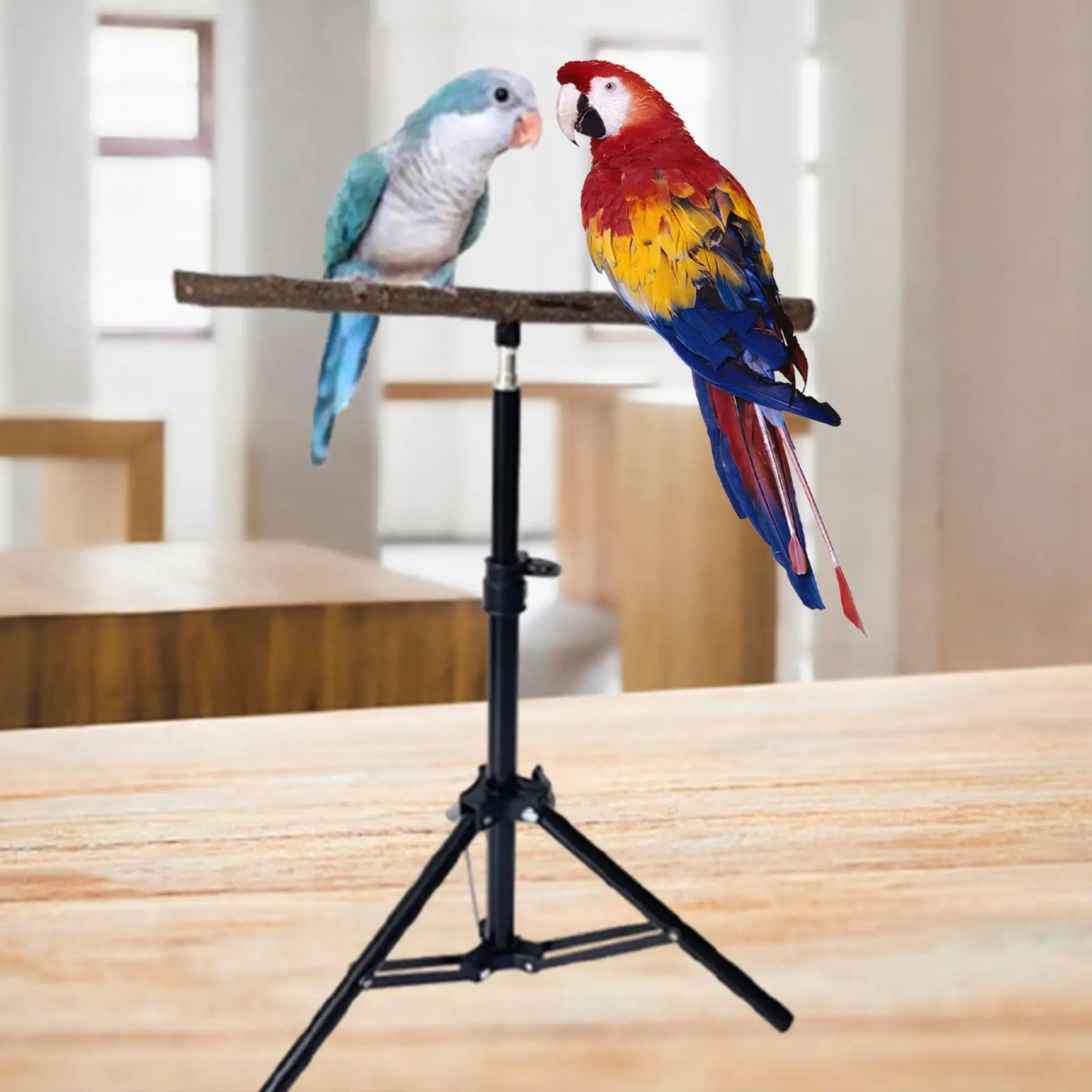 

Wood Parrot Perch Exercise Toy Parrot Stand Pet Supplies Height Adjustable Tripod for Macaws Canaries Budgies Parakeets Finches