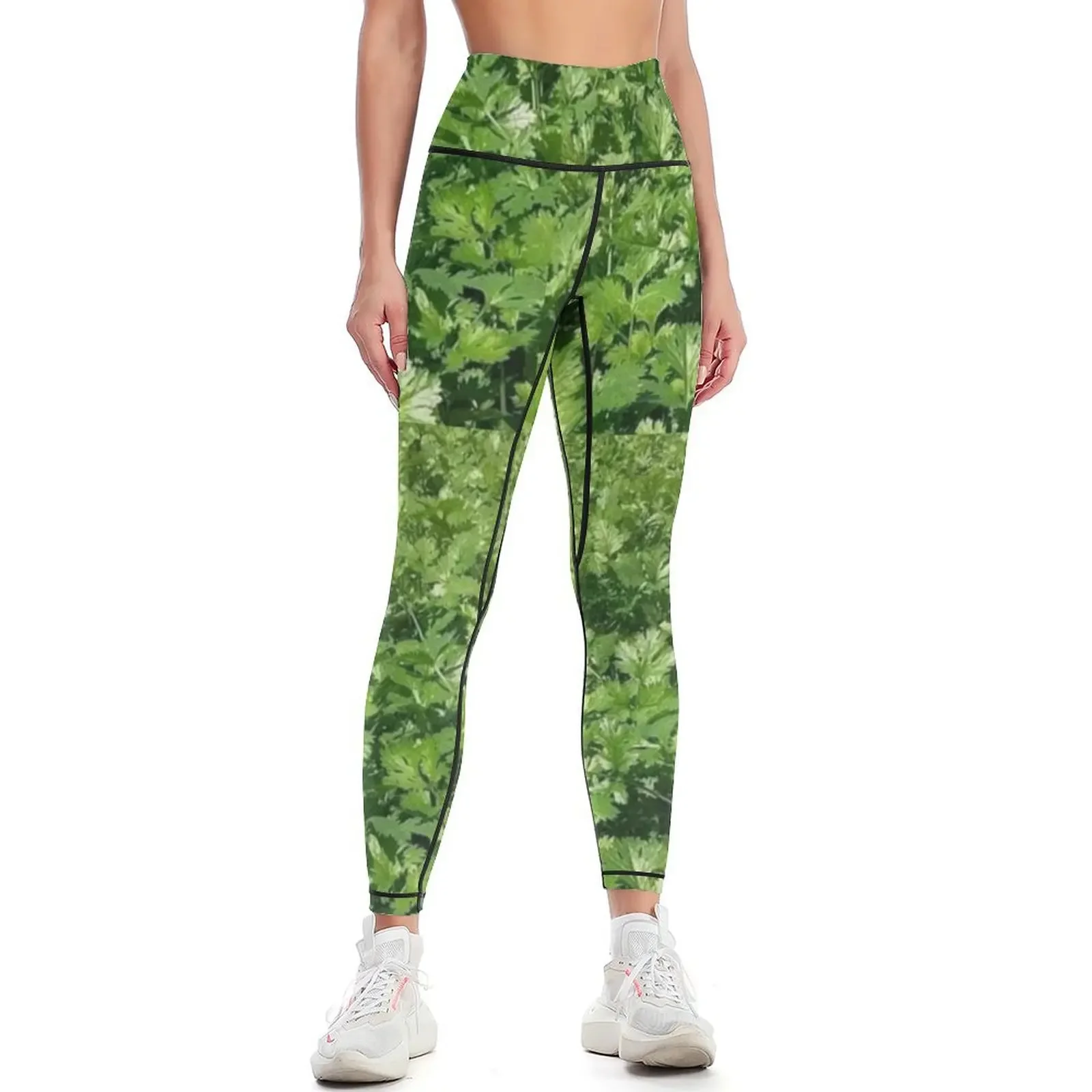 

Coriander Leggings for girls joggers for Women's high waist workout shorts Womens Leggings