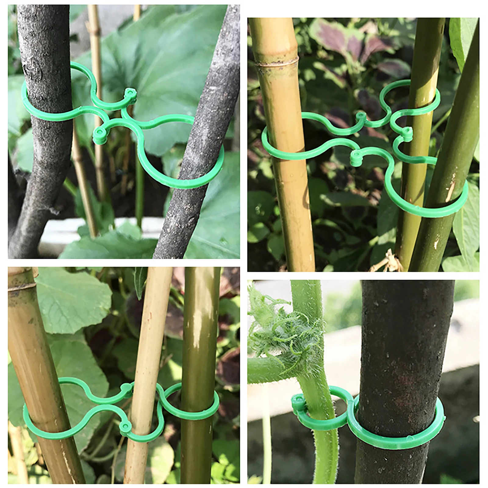 50/100Pcs Plant Vine Strapping Clips Ring Fixed Bundled Buckle Tomato Grape Support Hook Flower Vegetable Growing Upright Holder