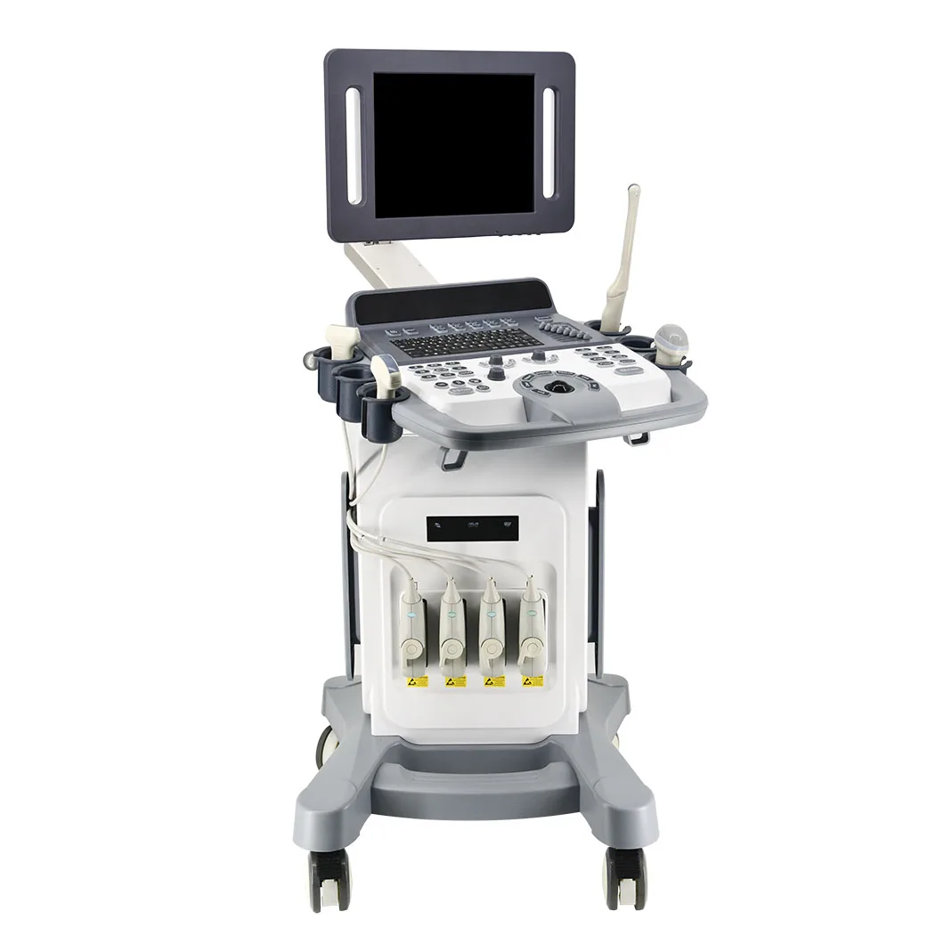 Portable Full Digital Color Doppler 3d 4d Trolley ultrasound diagnostic machine