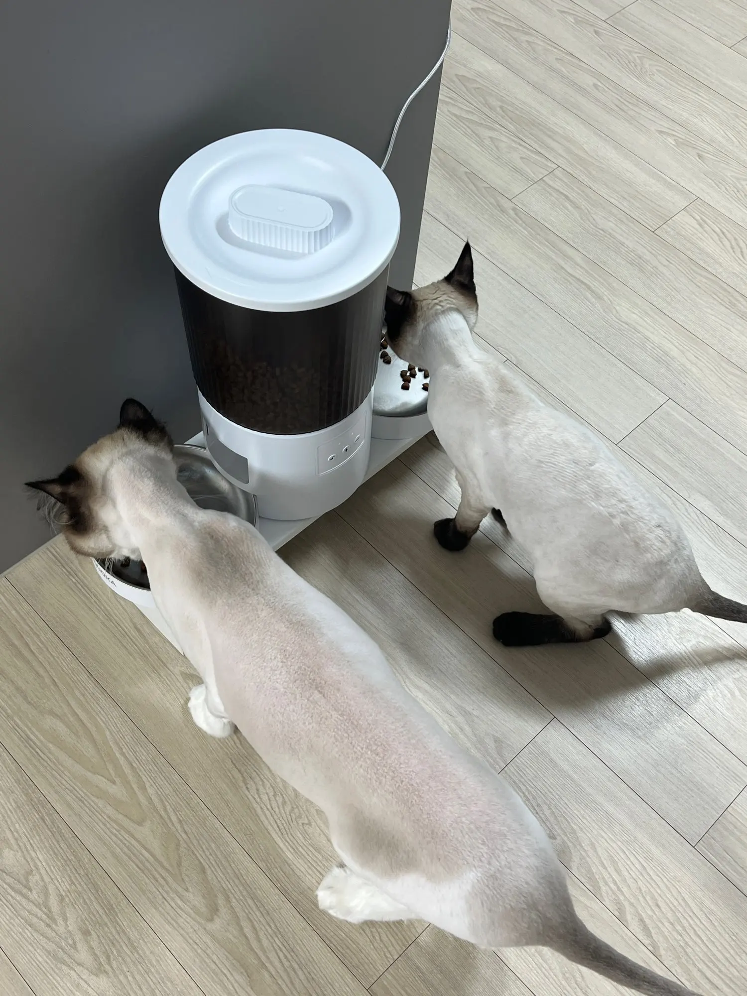 실물 포토 리뷰