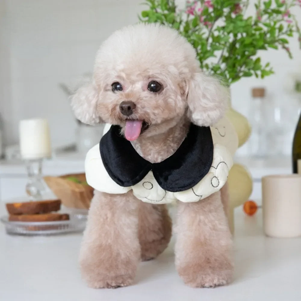 Autumn Winter Pet Plush Lapel Coat Dog Warm Coat Pet Skirt Clothes Teddy Clothes Designer Dog Clothes Dog Clothes for Small Dogs