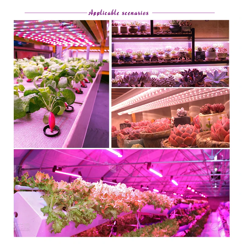 Imagem -06 - Full Spectrum Usb Plant Growing Light Led Grow Light Bar Phytolamp para Plantas de Interior Flower Seedling Tenda de Estufas 30cm 5v