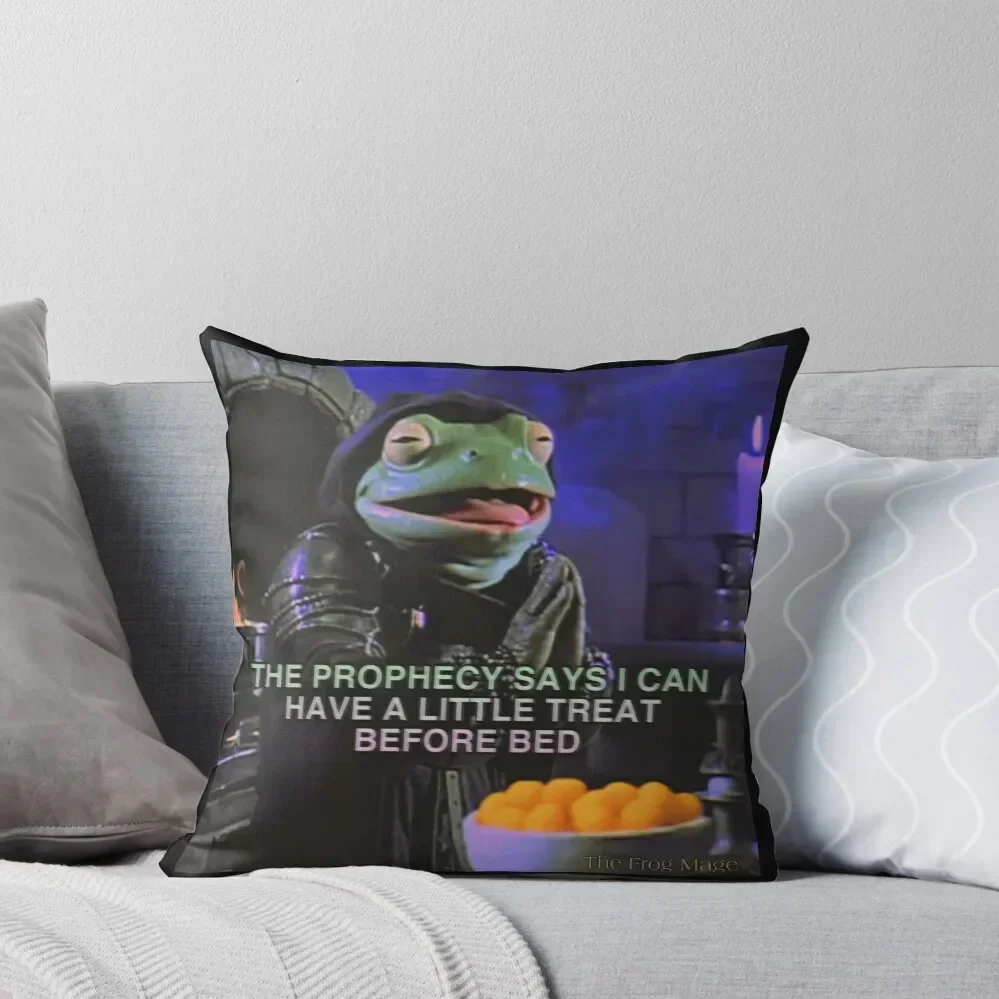 

A LITTLE TREAT Throw Pillow Sofa Decorative Covers Sofa Cushion Cover Cushion Cover Set Embroidered Cushion Cover pillow