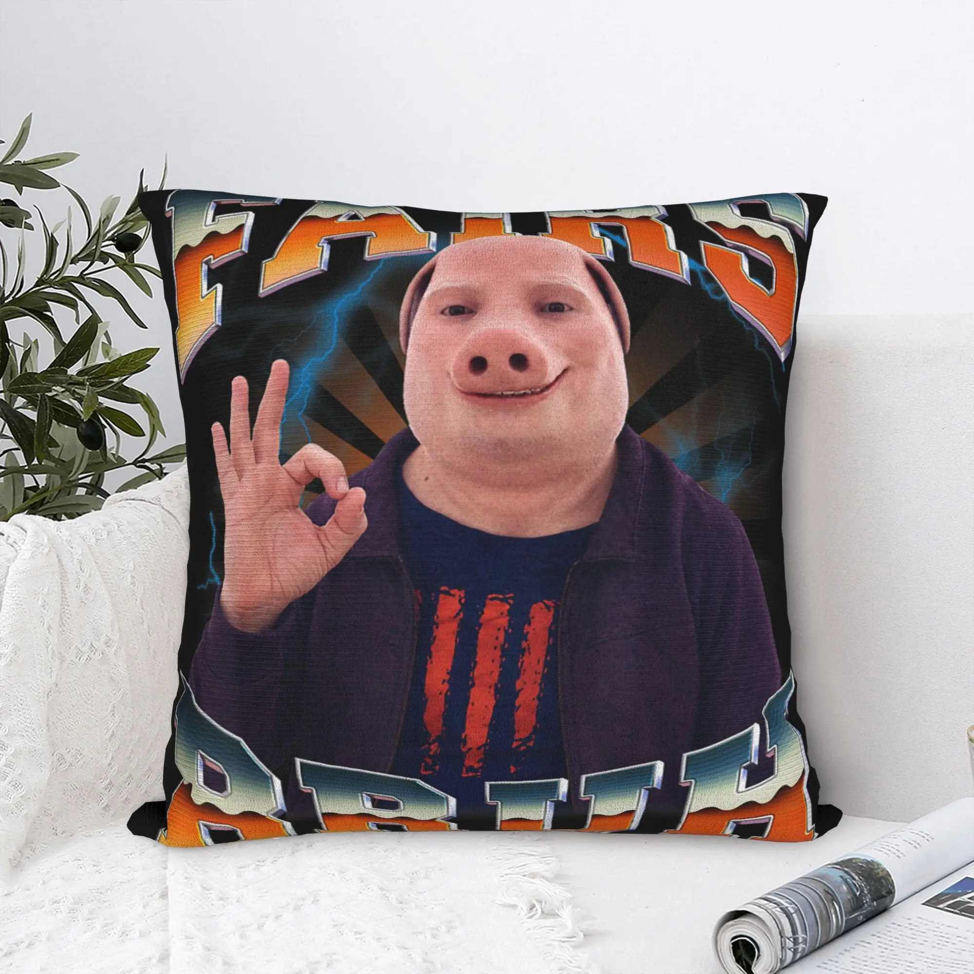 Funny John Pork Fairs Bruh Vintage YBG Slang Meme Pillow Case  Comfy Pillow Cover Morden Pillowcases For Sofa Home Decor